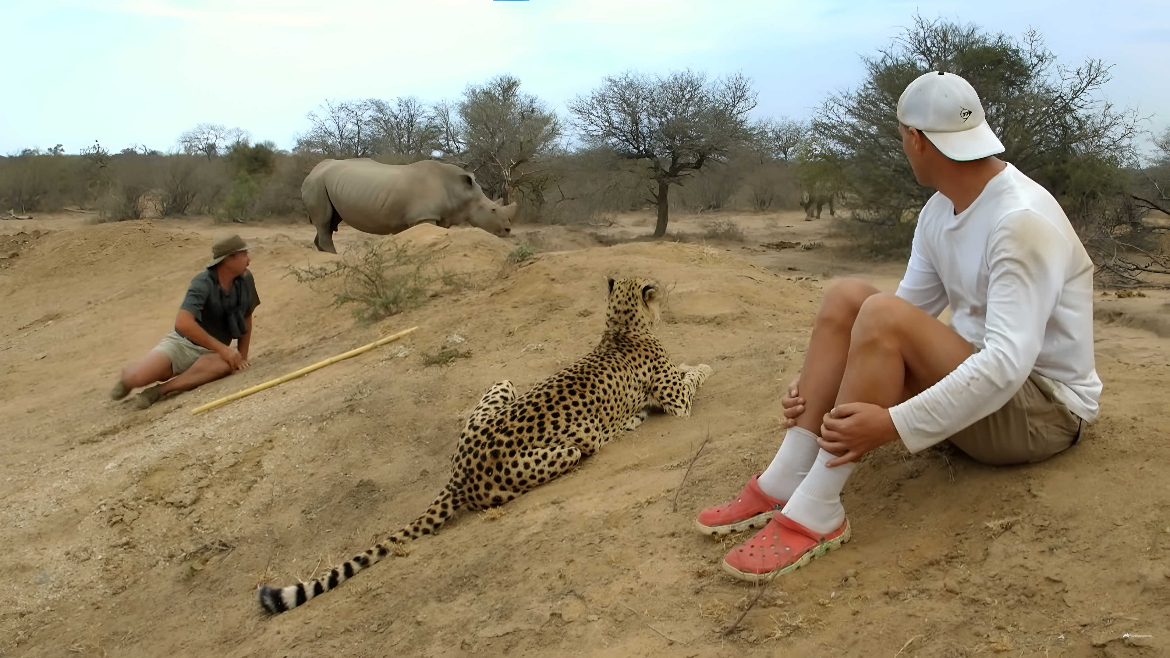 Frank con un tigre